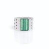 Anillo Cero 5 Y 6