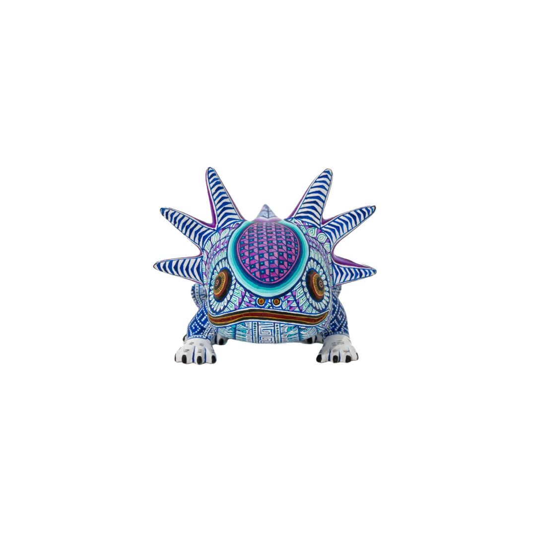 Ajolote 24/60 - Image 2
