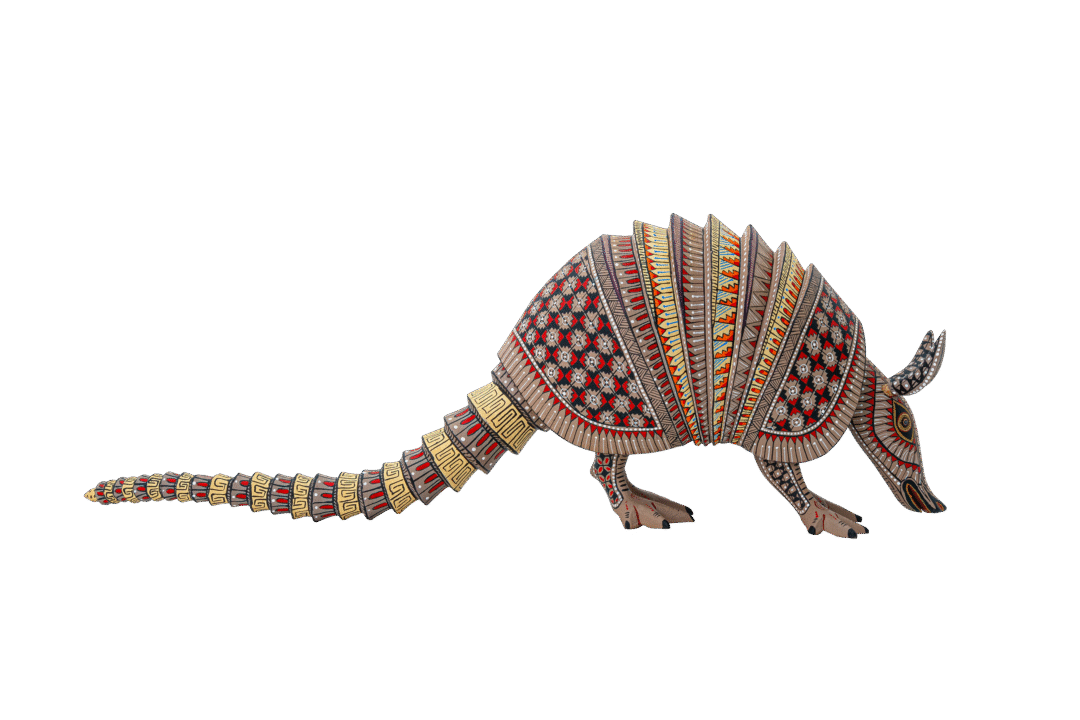 ARMADILLO #80