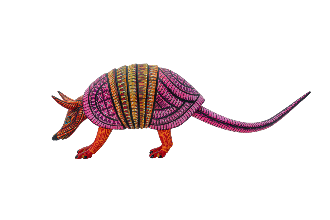 ARMADILLO #92