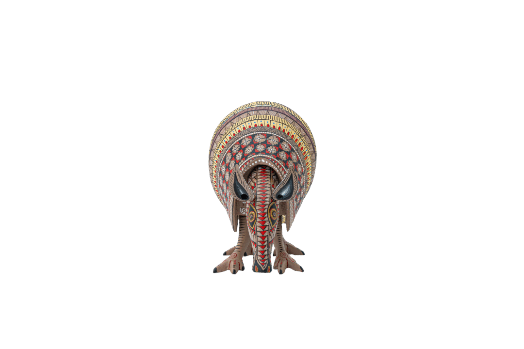 ARMADILLO #80 - Imagen 4