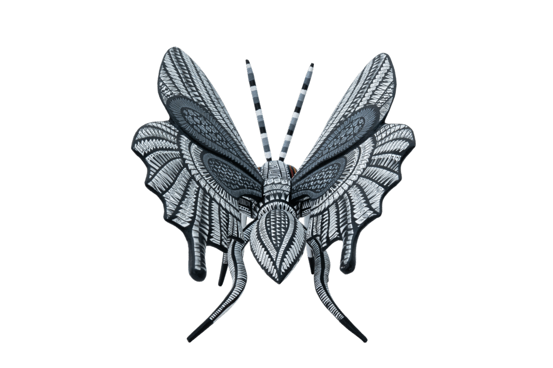 MARIPOSA #58 - Imagen 3