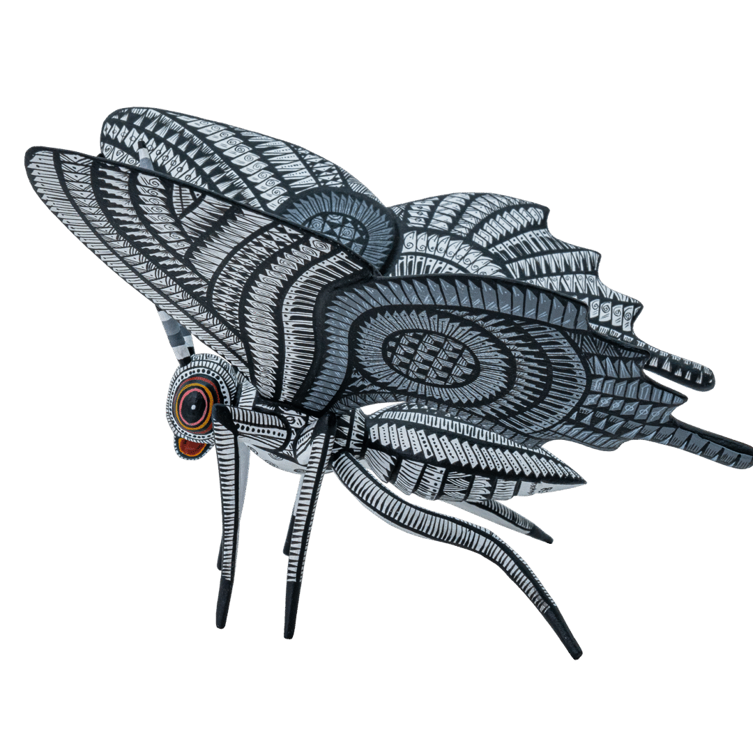 MARIPOSA #58