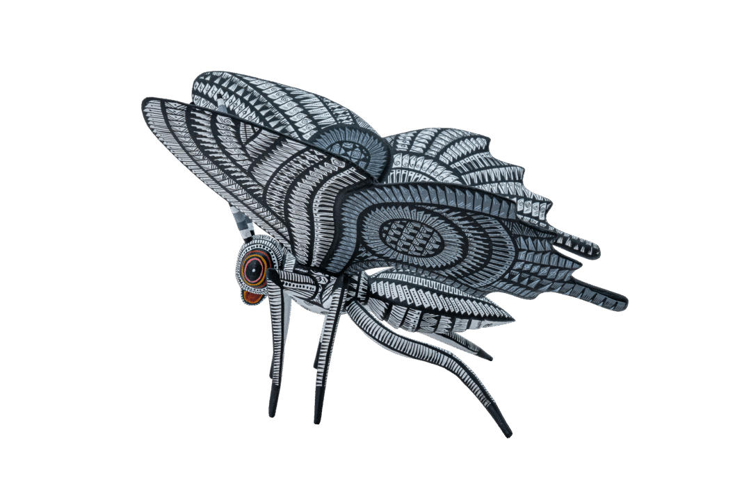 MARIPOSA #58