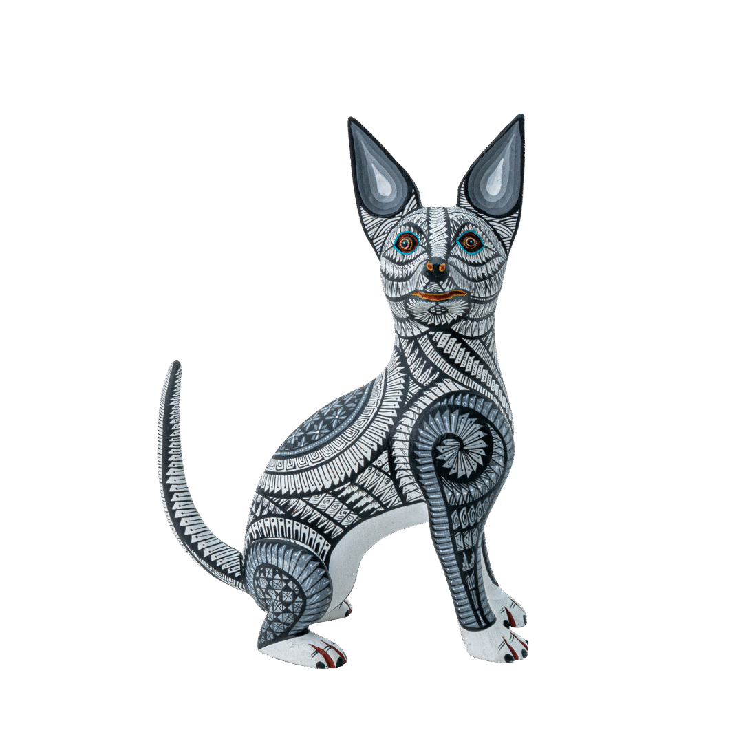 PERRO #167