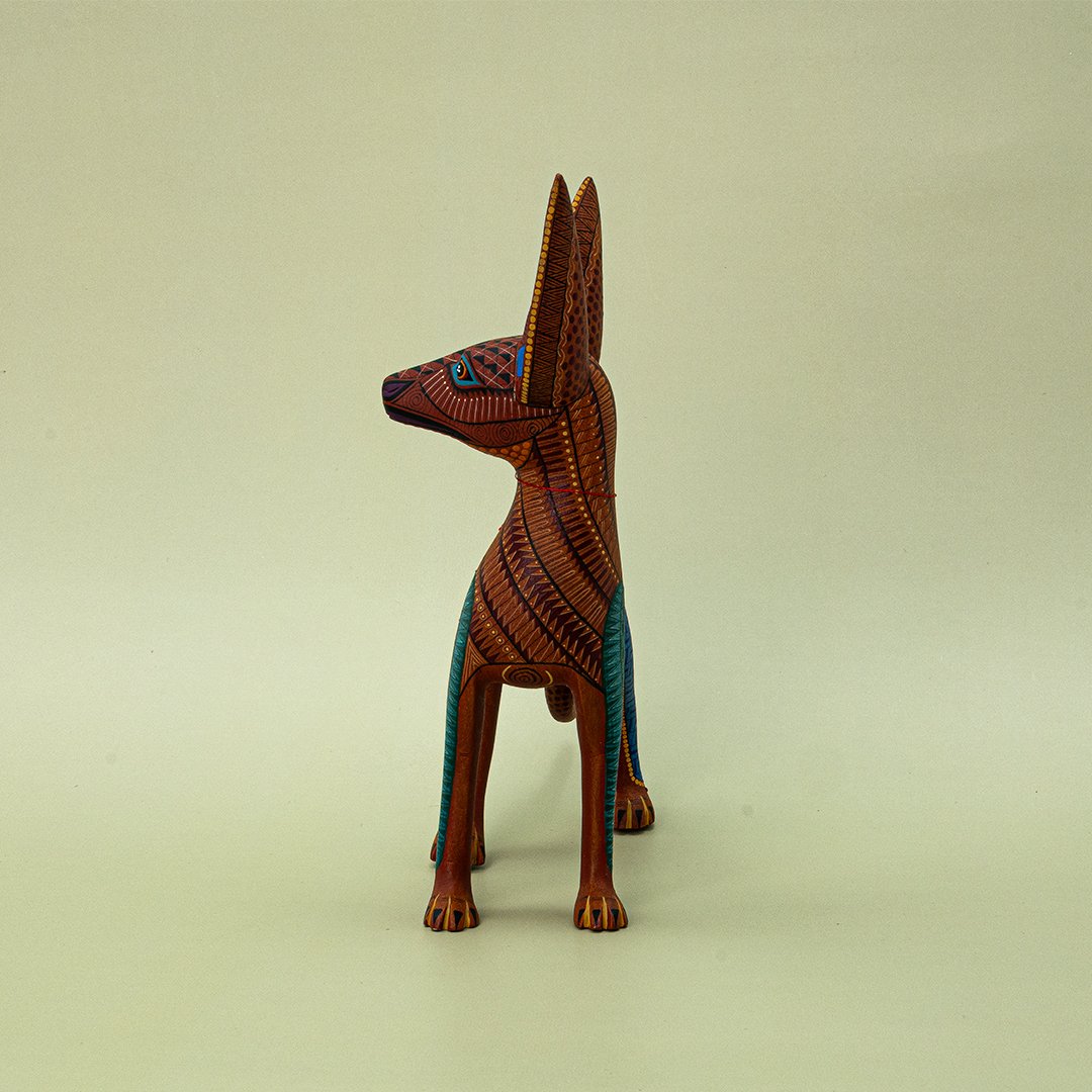 PERRO XOLO - Imagen 5