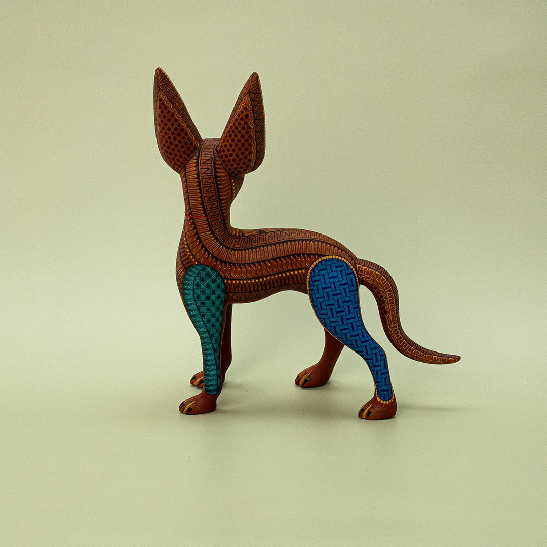 PERRO XOLO - Imagen 4