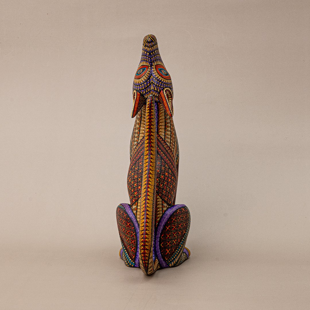 COYOTE #129 - Imagen 6