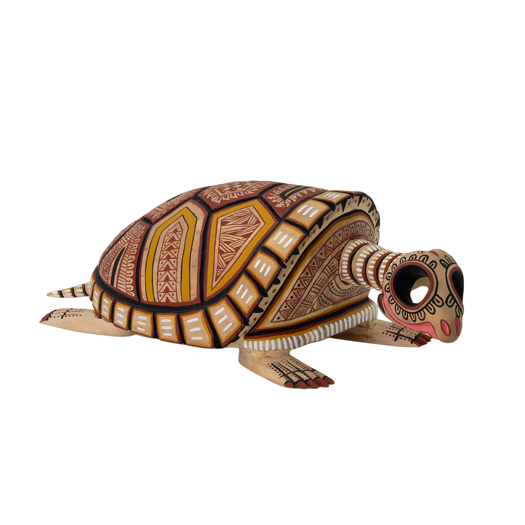 Tortuga Esqueleto